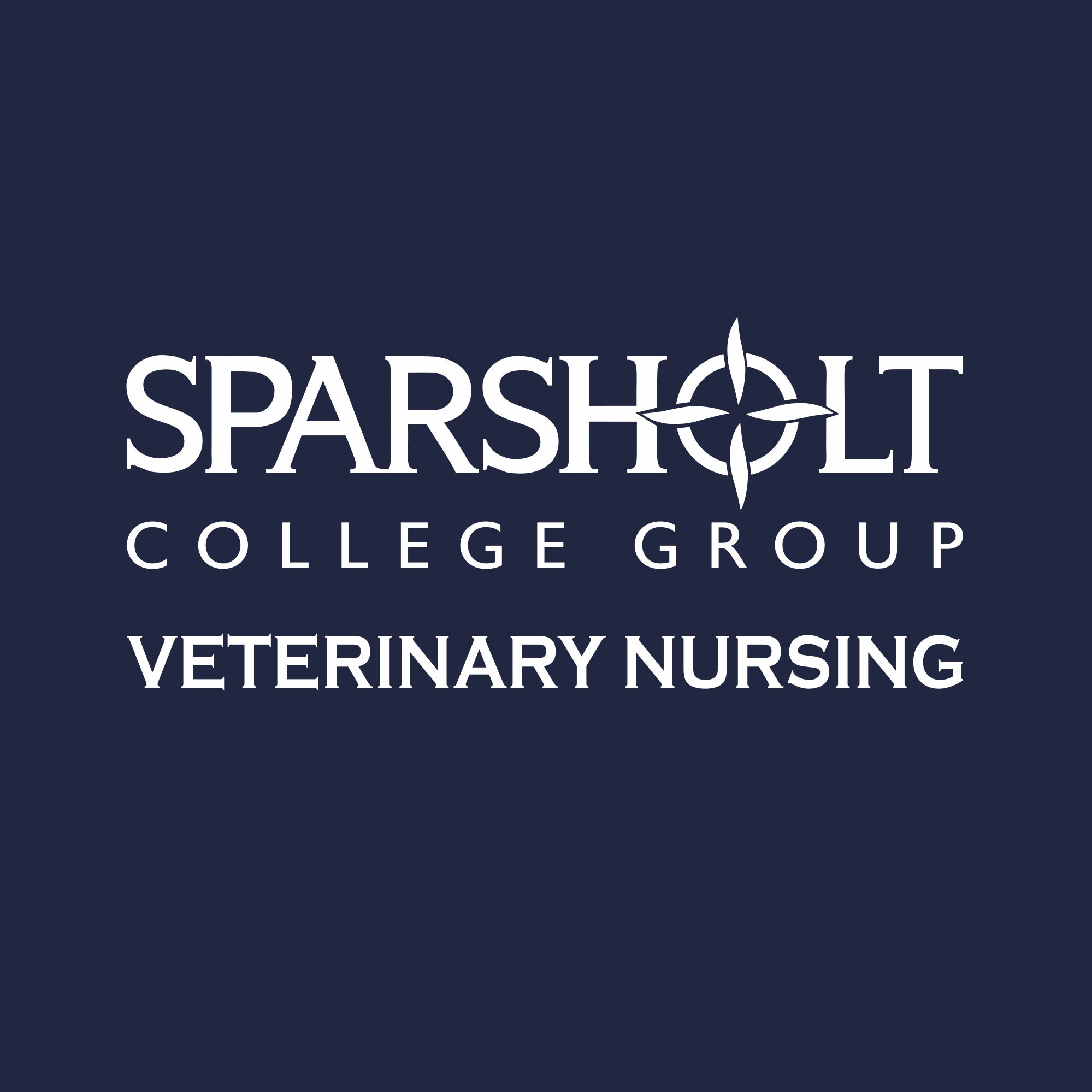 Sparsholt College Veterinary Nursing Hoodie - Image 2